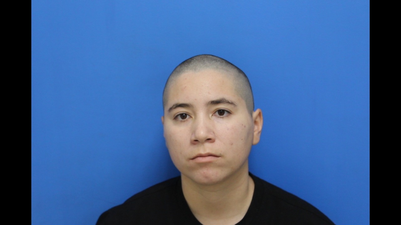 Mugshot of Sugeily Angelys Agudo-gonzalez