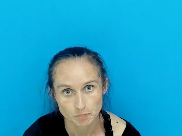 Mugshot of Lea Michelle Hamby