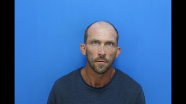Mugshot of Jamie Lee Fox