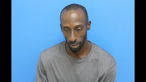 Mugshot of Linore Hamlette