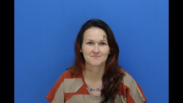 Mugshot of Ashley Nicole Long