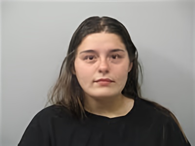 Mugshot of Violetta Wolovich