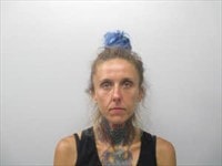 Mugshot of Dana Roxanne Vincent