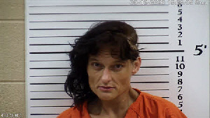 Mugshot of Jessica Hollie Robinson