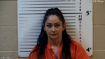 Mugshot of Sonja Leia Godsey