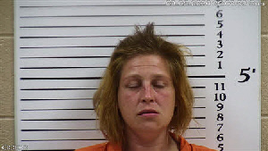 Mugshot of Lavina Jo Alvis
