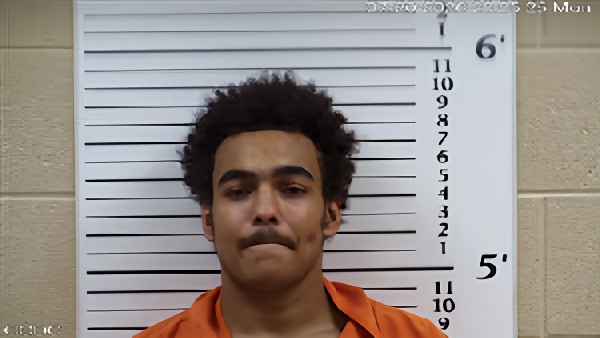 Mugshot of Desmond James King