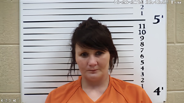 Mugshot of Brittany Elaine Loudermilk