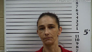 Mugshot of Janet Leeann Allen