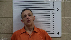 Mugshot of Renae MICHELLE COOK