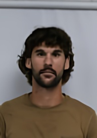 Mugshot of DAVID WAYNE GREGSON