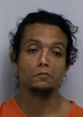 Mugshot of JUSTICE WILLIAM CHILDRESS