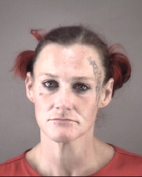 Mugshot of JENNIFER LYNN BARNES
