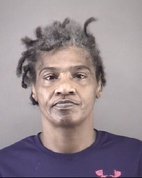 Mugshot of VERA LYNETTE LITTLEJOHN