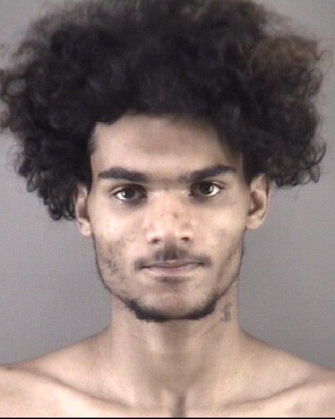 Mugshot of DEMETRIUS WILLIS WILLIAMS