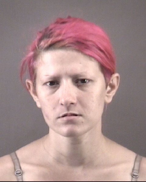 Mugshot of KATELYN GABRIELLE POLLACK