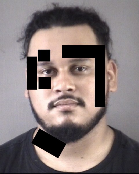 Mugshot of ANGEL JR ARELLANESJARQUIN