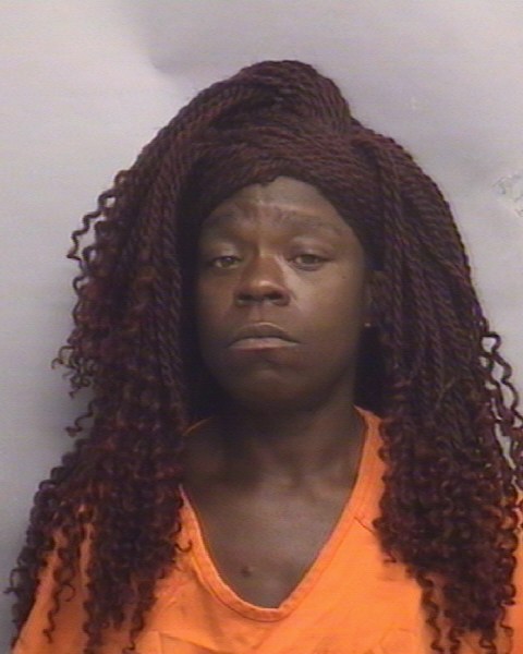 Mugshot of INDIA LOUISE WELLS