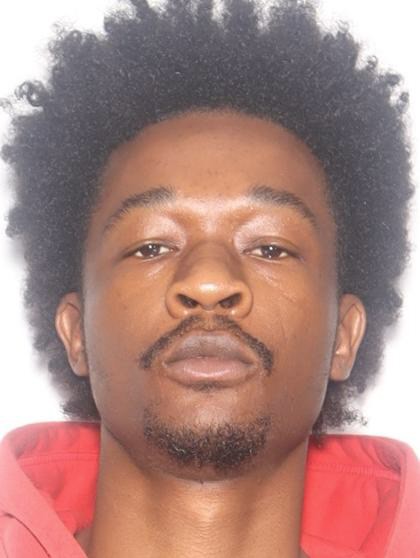 Mugshot of TYSEAN LEE BROWN
