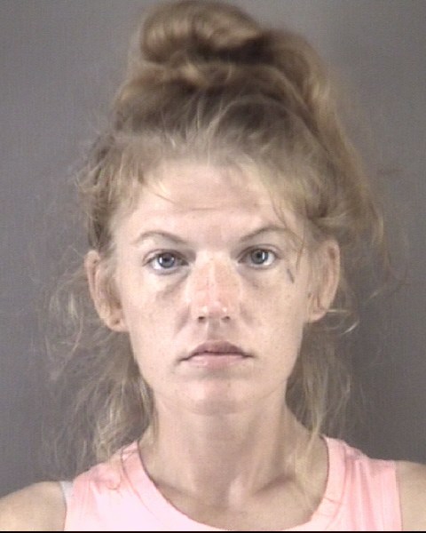 Mugshot of KAYTLYN ELAYNE BRYAN