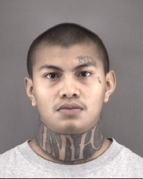 Mugshot of ALEXANDER GILL NOYOLA