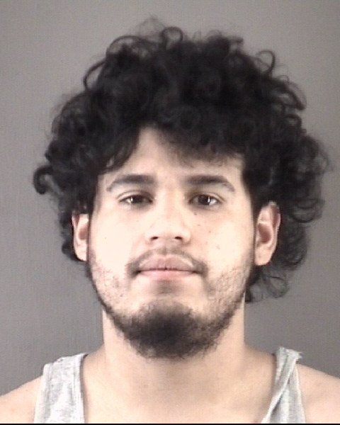 Mugshot of EMERSON JAMLEC QUINCINARDON