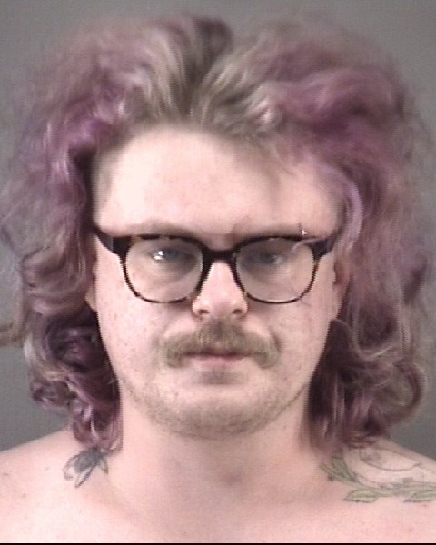 Mugshot of JOHN SEBASTIAN HALL