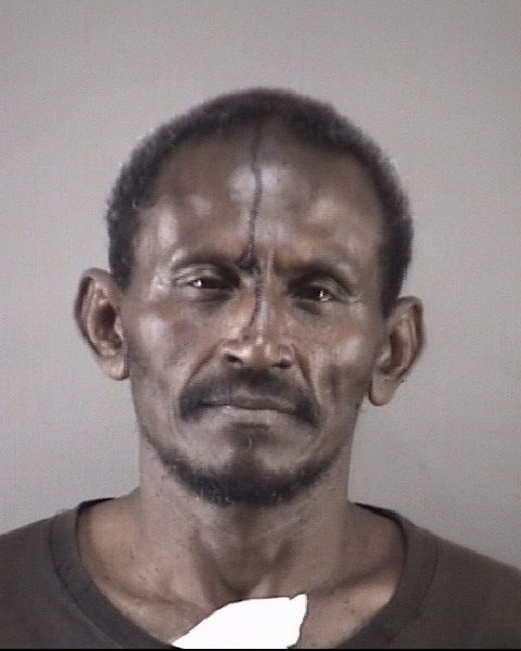 Mugshot of RICARDO RAMIREZ ARELLANES