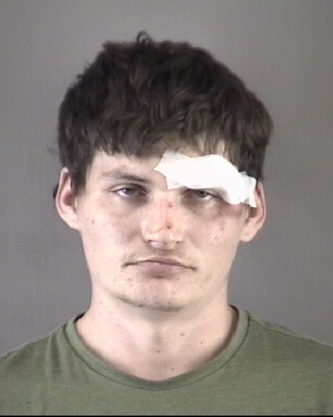 Mugshot of TYLER LORANZIE BROWN