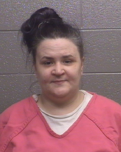 Mugshot of LAURIE JOHNSON JONES