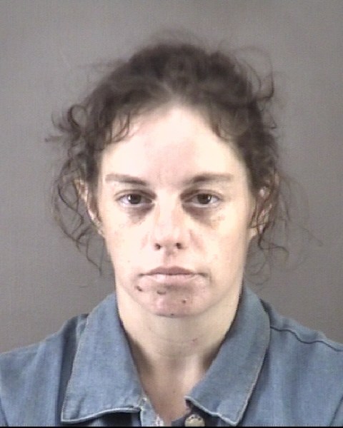 Mugshot of AMANDA ILYSE LEWIS