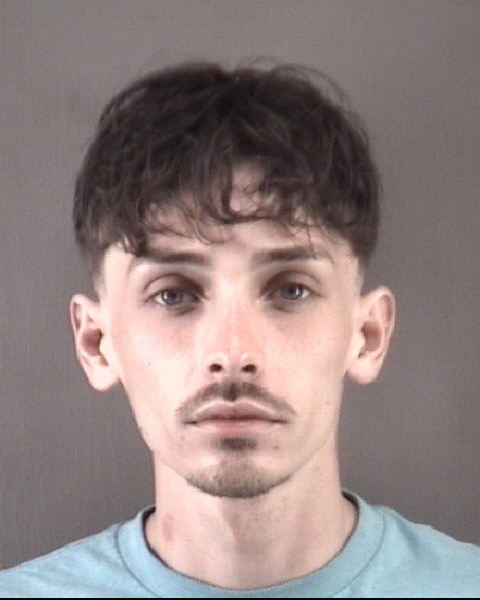 Mugshot of HARVEY ABEL ALVAREZ