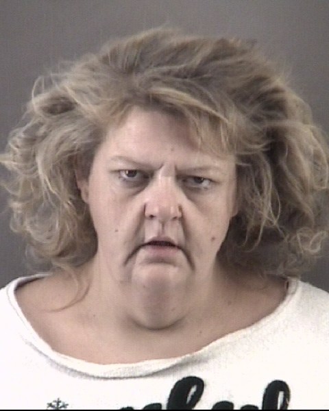 Mugshot of ASHLEY MARIE ARRIAZA