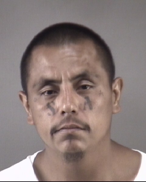 Mugshot of ERICK VIEYRA