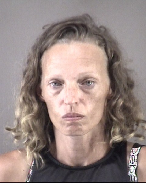 Mugshot of JESSICA HOPKINS PARKS