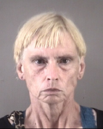 Mugshot of MARY ELIZABETH WILSON