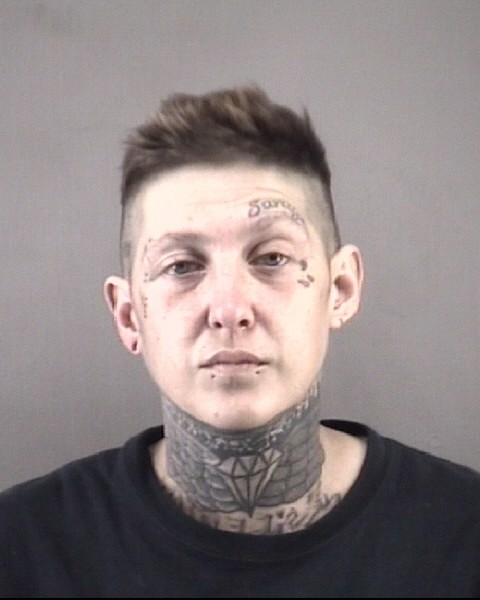 Mugshot of JESSICA DIANE TEAGUE