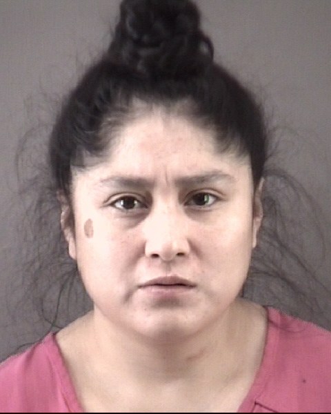 Mugshot of DIANA LICET LOPEZMARTIN