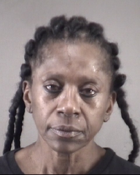 Mugshot of FAYE COLLINS EVANS