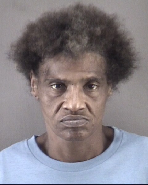 Mugshot of VERA LYNETTE LITTLEJOHN
