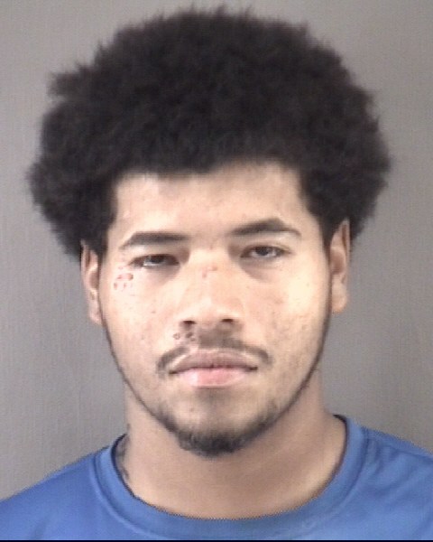Mugshot of IRVIN SILVAPENALOSA