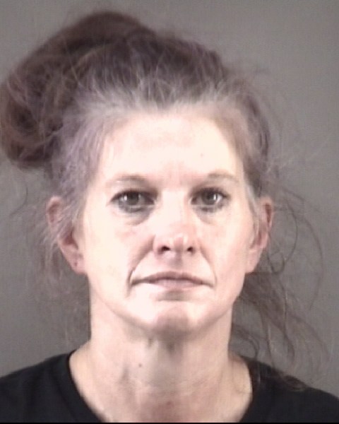 Mugshot of MELISSA ANN WILMOTH