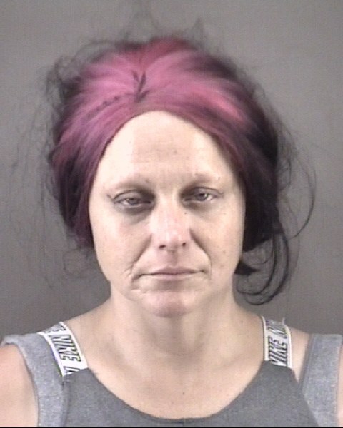 Mugshot of SHARON LEANN DRIVER