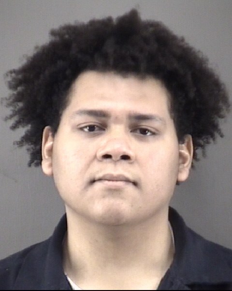 Mugshot of TONY TORIBIOESTRADA