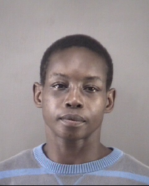 Mugshot of BRANDY SHANITA JOHNSON