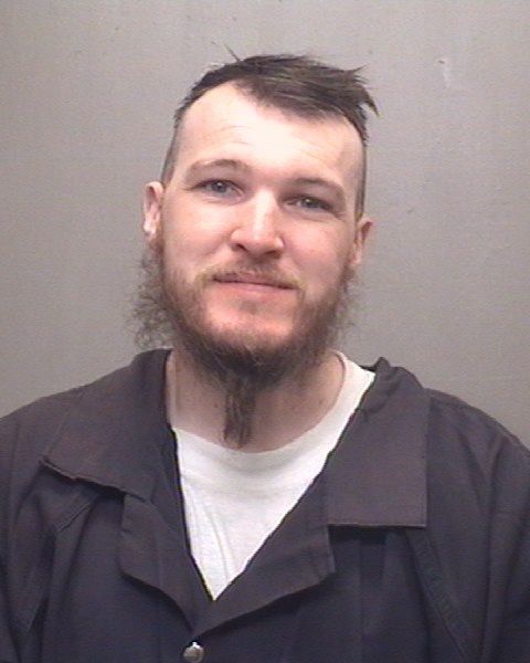 Mugshot of BRETT MICHAEL MYERS