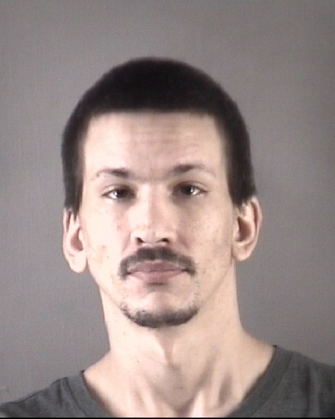 Mugshot of MICHAEL ERNEST LUNDBERG