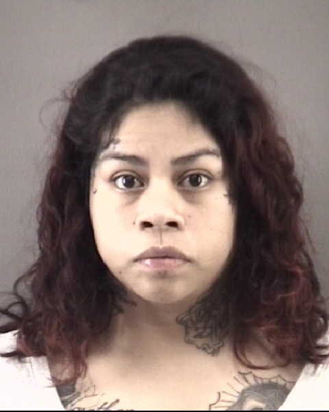 Mugshot of LIZBETH SILVAJUANICO