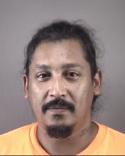 Mugshot of DENIZARD SANTIAGO