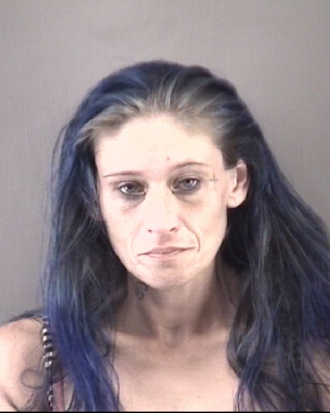 Mugshot of SHANNON MARIE CHILDRESS